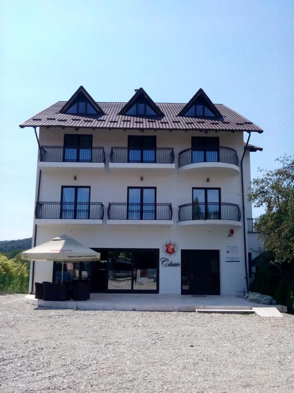 Pensiunea Clasic Curtea De Arges Exterior photo